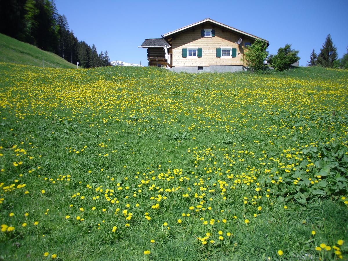 Maisaess Lifinarblick Villa Schruns Buitenkant foto