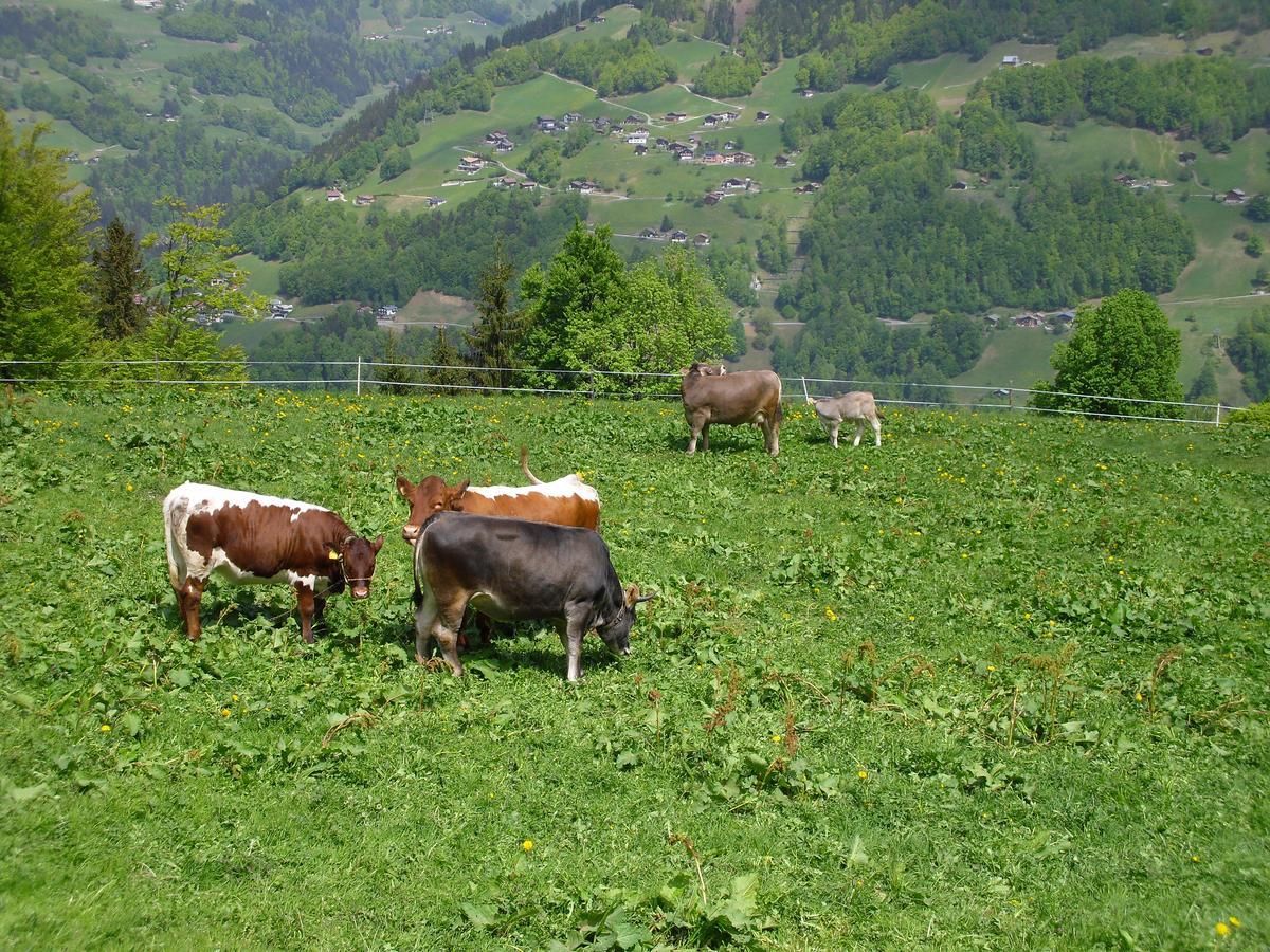 Maisaess Lifinarblick Villa Schruns Buitenkant foto